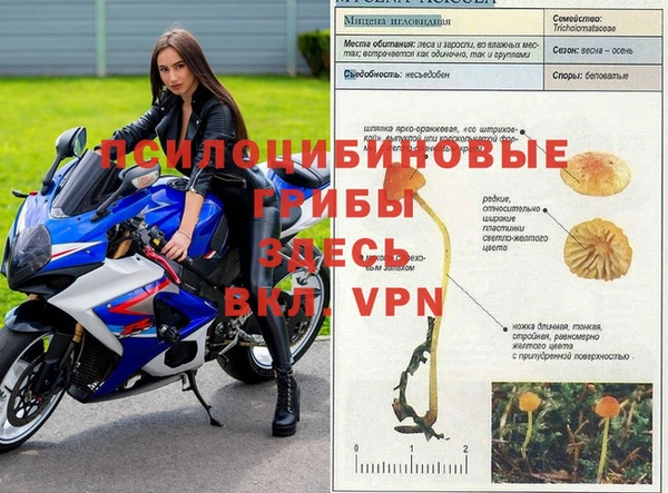 бутират Снежногорск