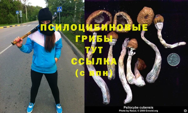 эйфоретик Слюдянка