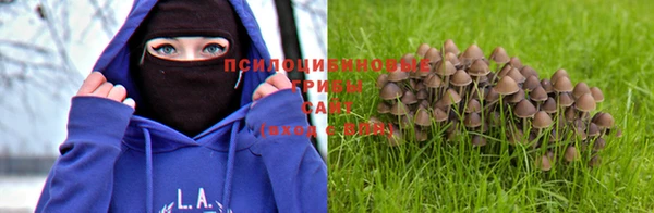 бутират Снежногорск