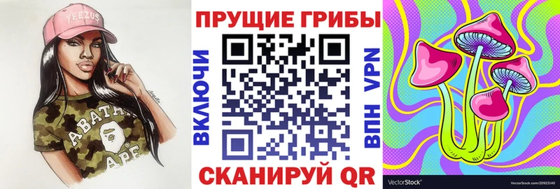 Псилоцибиновые грибы MAGIC MUSHROOMS  купить  цена  нарко площадка телеграм  Углич 