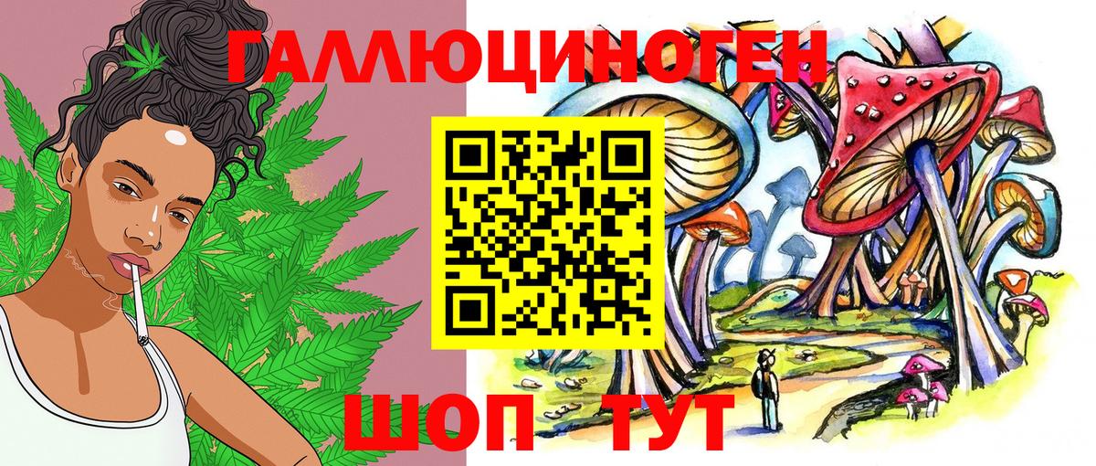 Углич  Галлюциногенные грибы MAGIC MUSHROOMS  Вход с VPN 