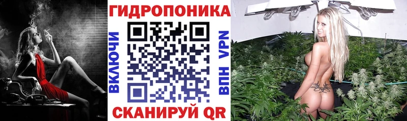 наркота  Углич  Каннабис AK-47 